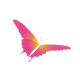Schmetterling
